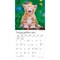 Plato; For the Love of Kittens | 2027 7 x 14 Inch (Hanging) Monthly Mini Wall Calendar; Category:Wall Calendars; Image:5
